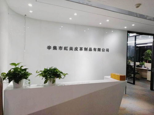 辛集市虹美皮革制品 以專業會議及展覽服務，打造皮革行業交流新平臺
